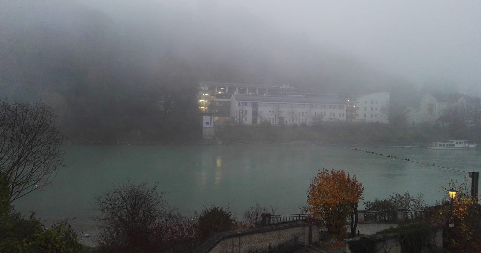 live from the Nebelschwaden