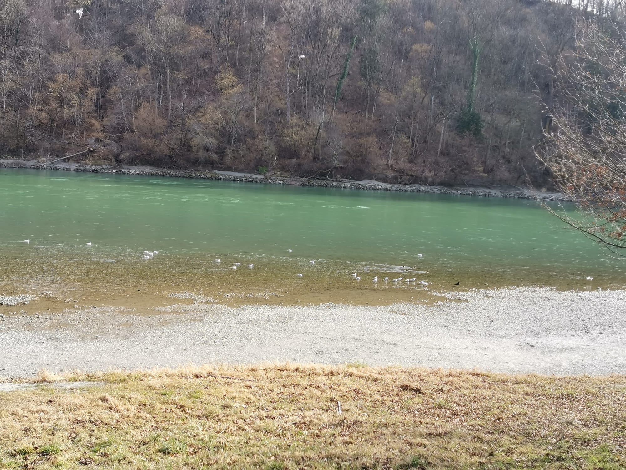 put funny headline here