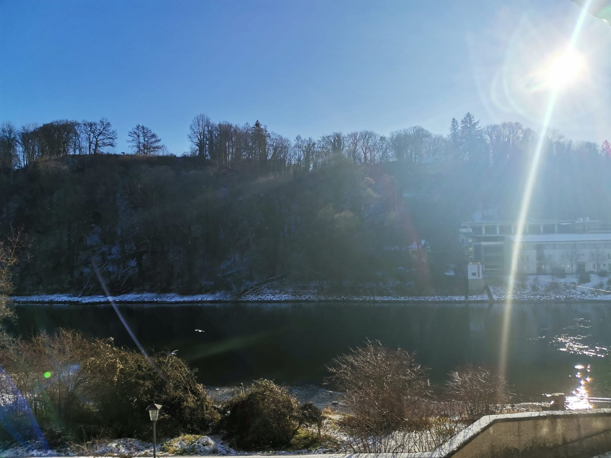 Du mich auch 2020, du mich auch