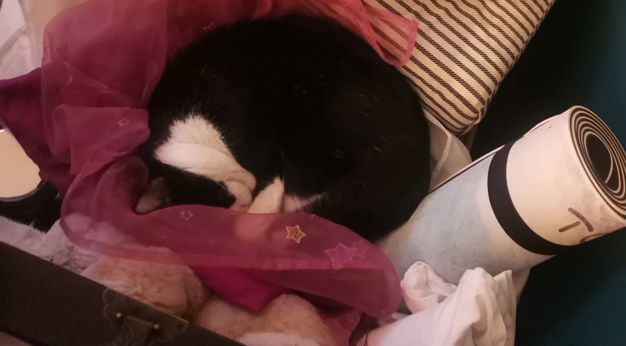 5 Dinge - KW 1 / 2023*