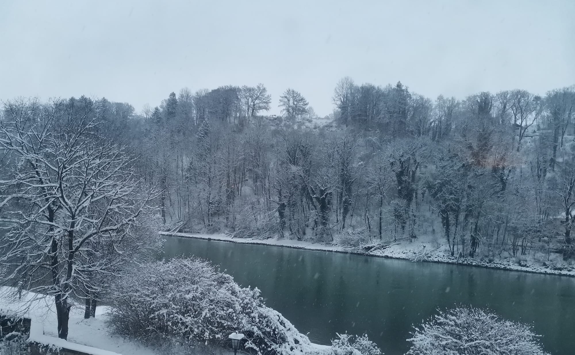 5 Dinge - KW 3 / 2023