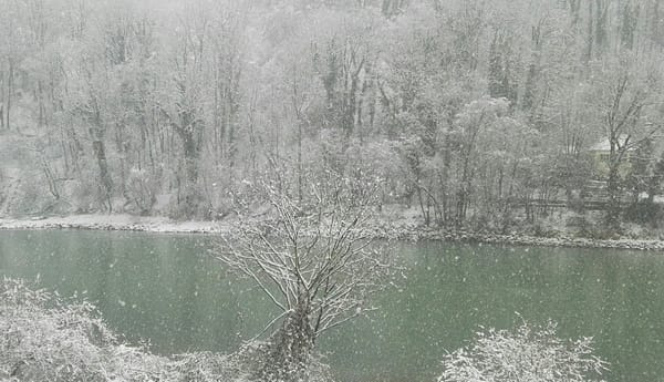 Anna and the Truthtellers