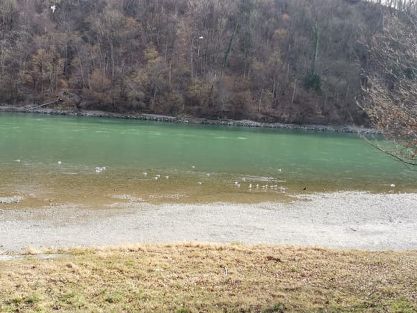 put funny headline here