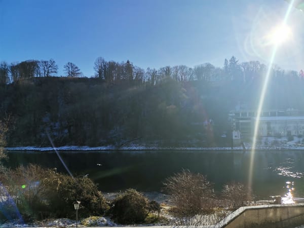 Du mich auch 2020, du mich auch