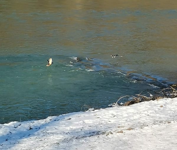 KW Nullfünf und Nullsechs