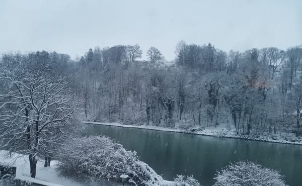 5 Dinge - KW 3 / 2023